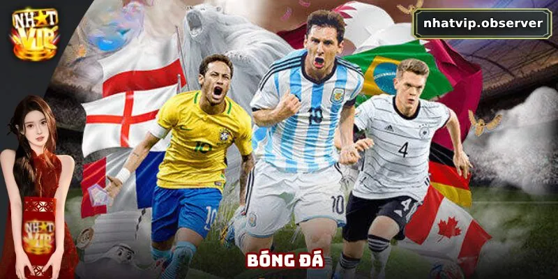 Bóng đá là bộ môn được hội viên lựa chọn ưu tiên năm 2025