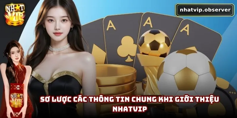 Sơ lược các thông tin chung khi giới thiệu NhatVip