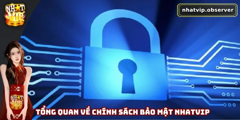 Tổng quan về chính sách bảo mật Nhatvip